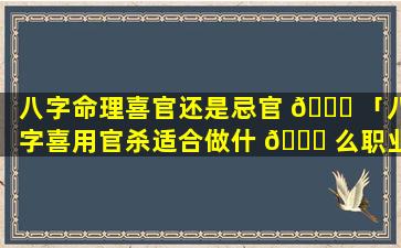 八字命理喜官还是忌官 🕊 「八字喜用官杀适合做什 🐝 么职业」